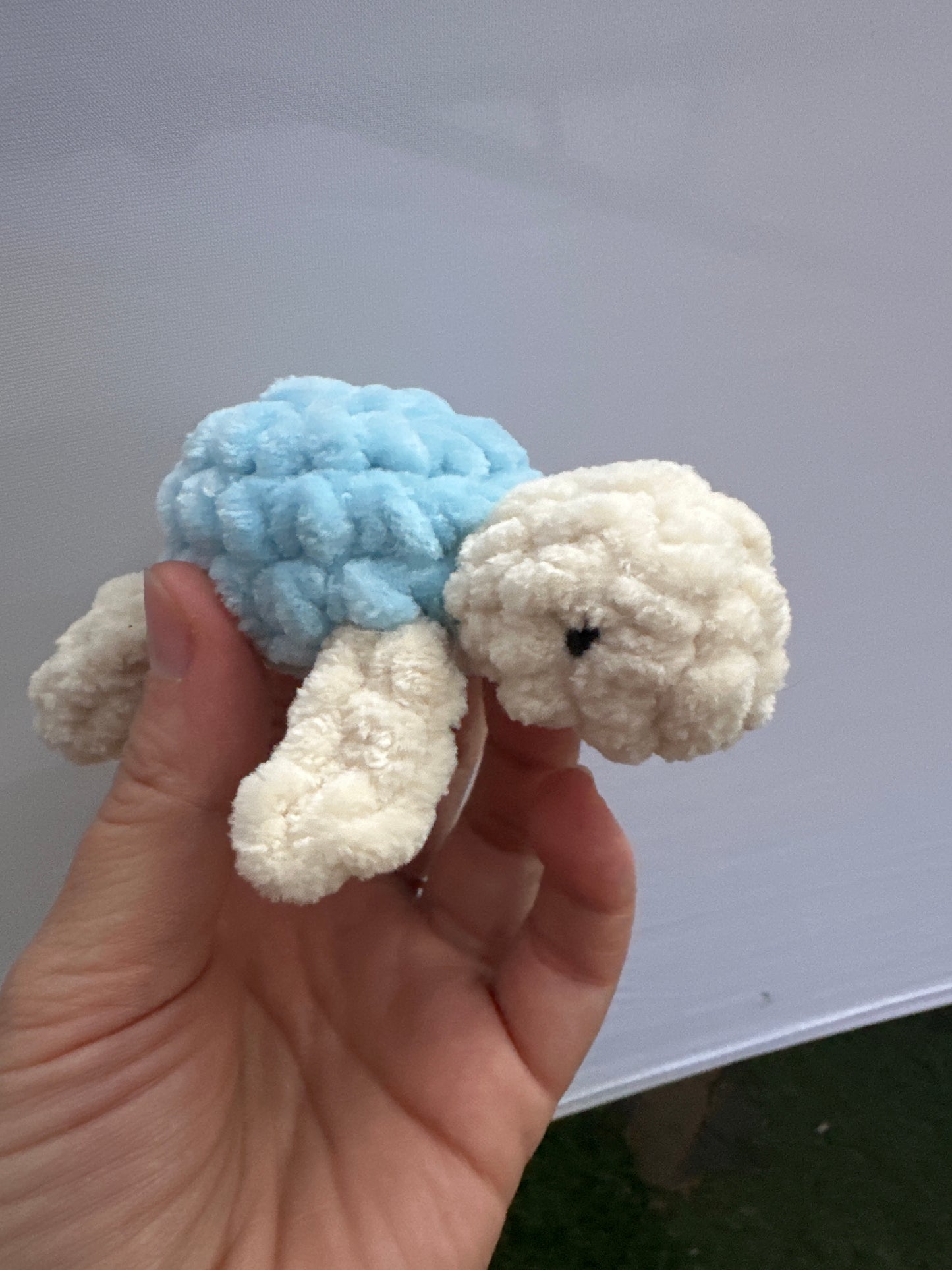 Turtle mini