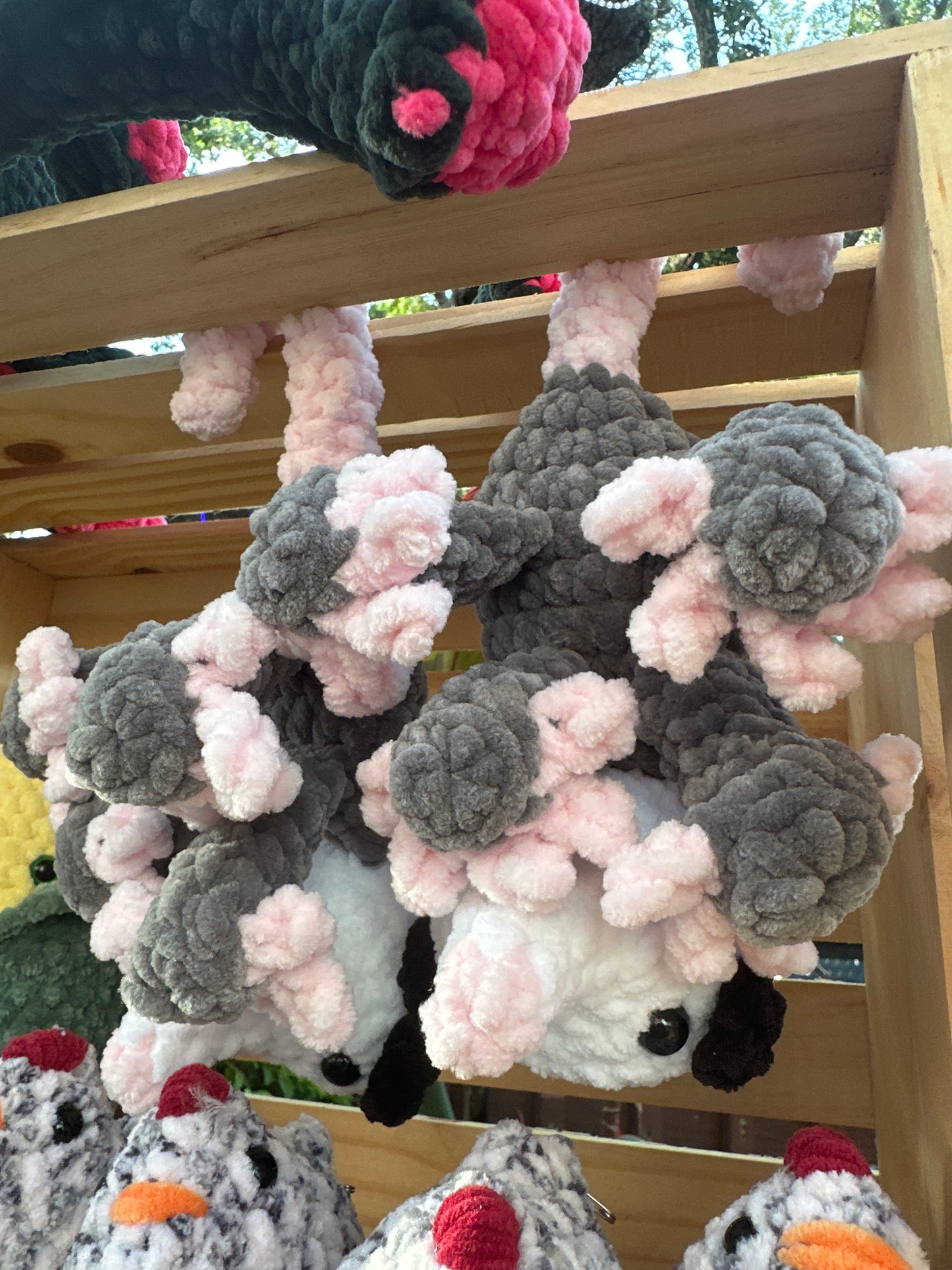 Opossum