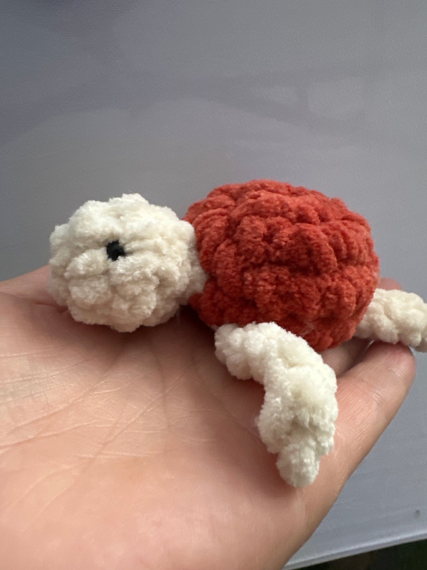Turtle mini