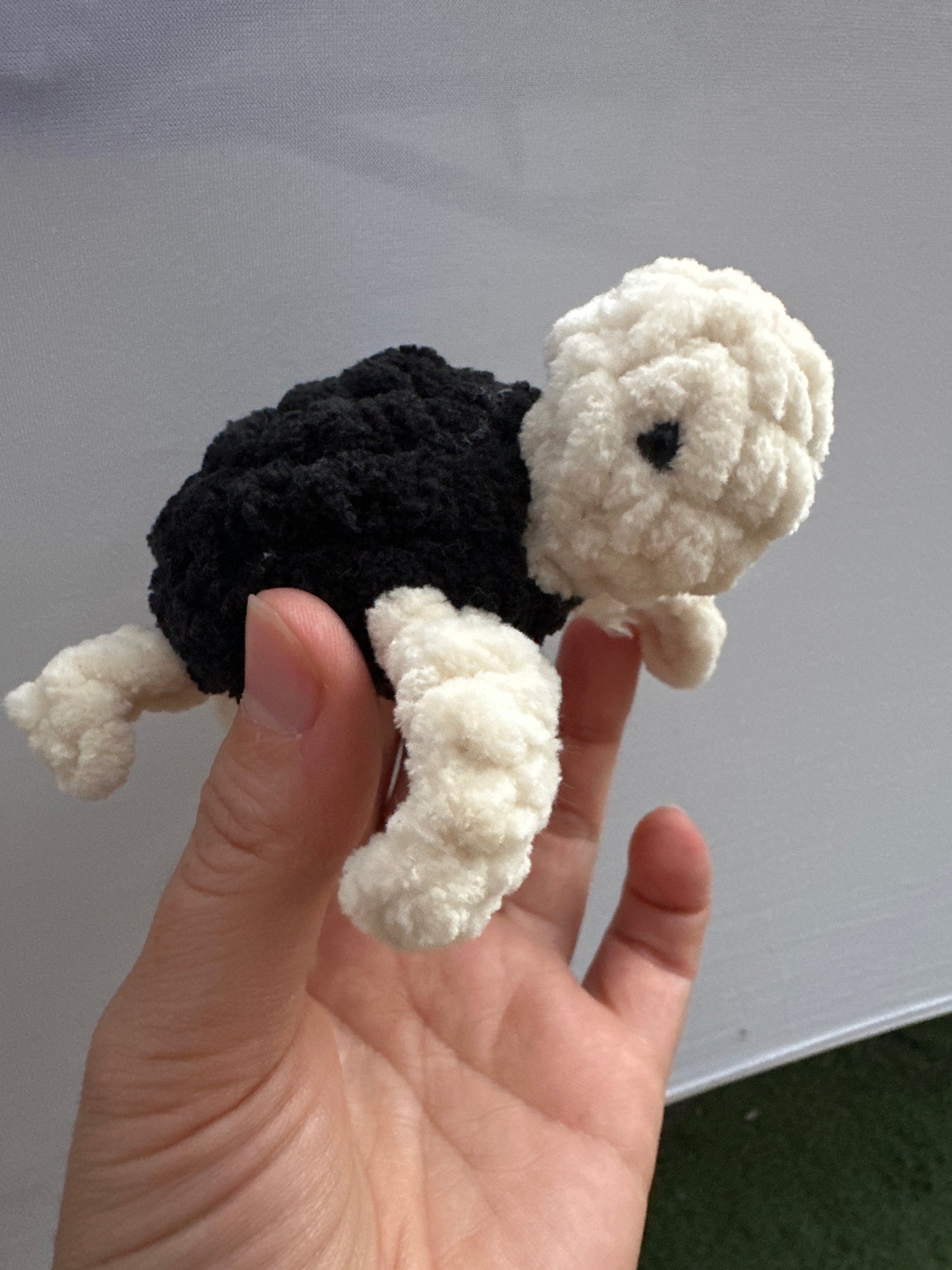Turtle mini