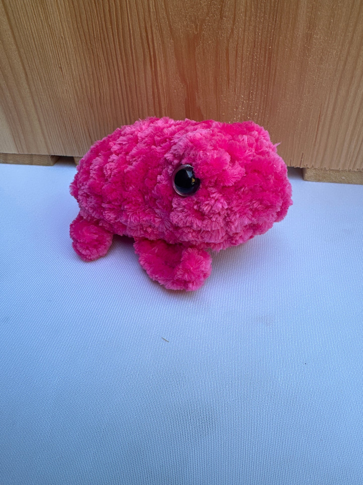 Frog Mini