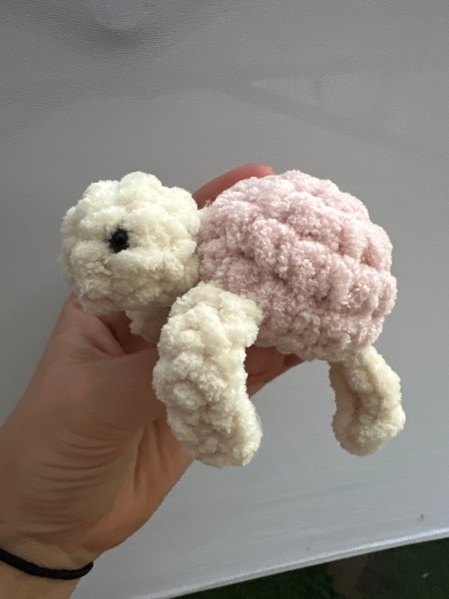 Turtle mini
