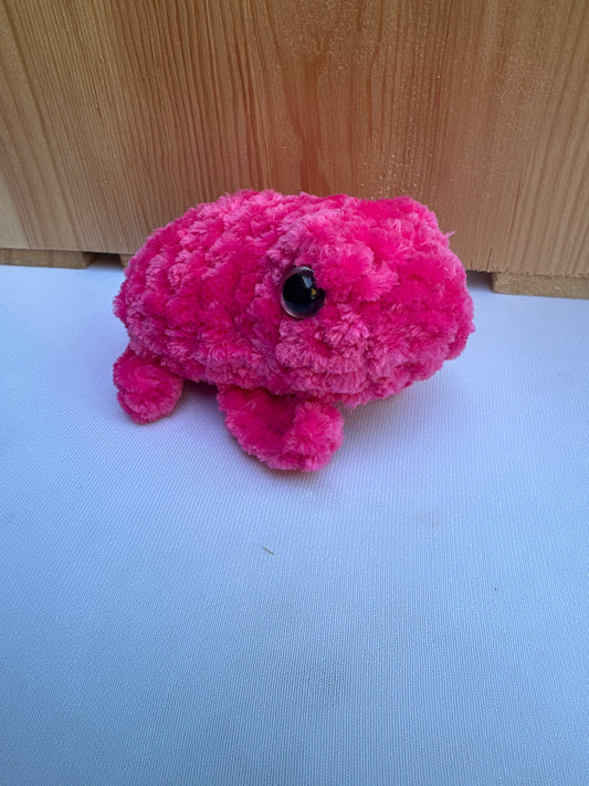 Frog Mini